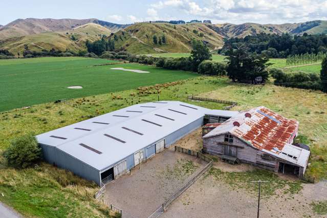 14645 Route 52 Alfredton_3