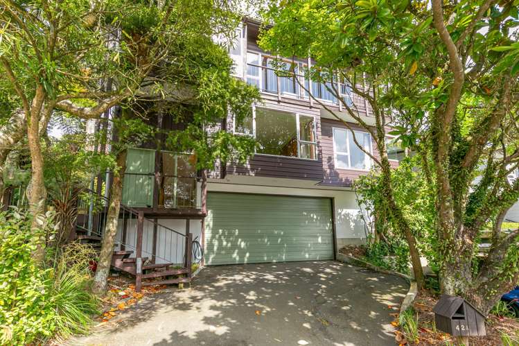 42a Nicholson Road Khandallah_1