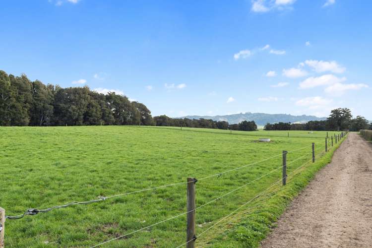 711 Horrell Road Morrinsville_13