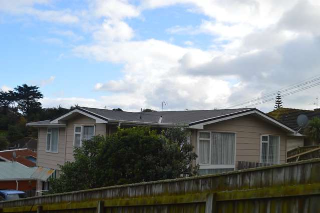 25 Downes Street Titahi Bay_3