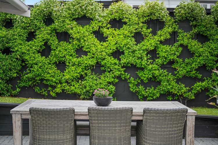 9 Rata Street Maeroa_8