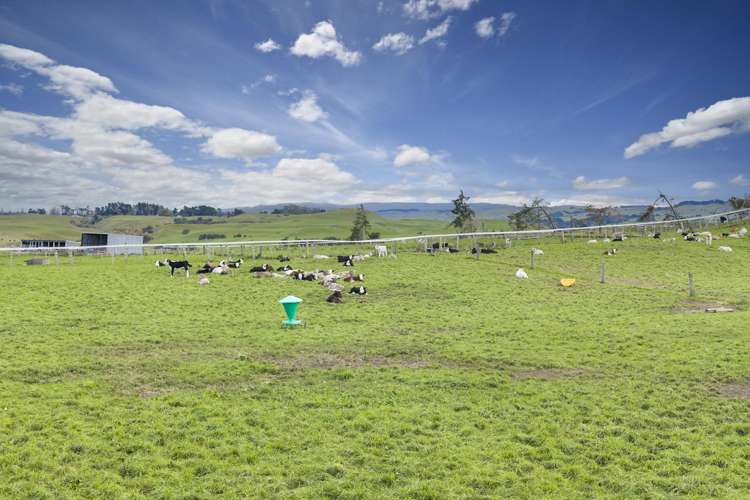 500 Willowford Road Waiwhare_15