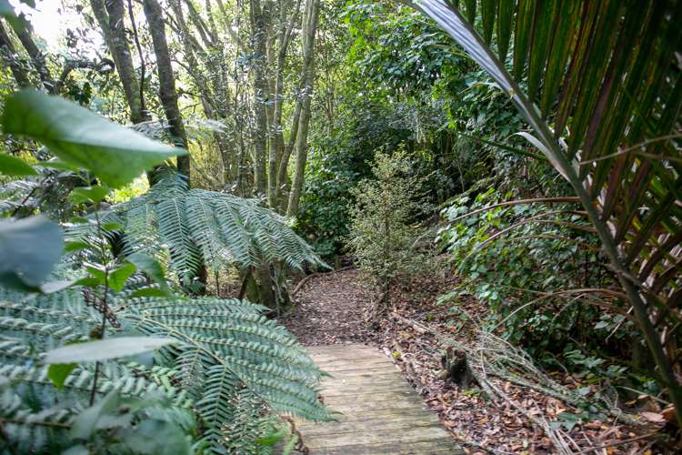 1/304 Te Miro Road Te Miro_16