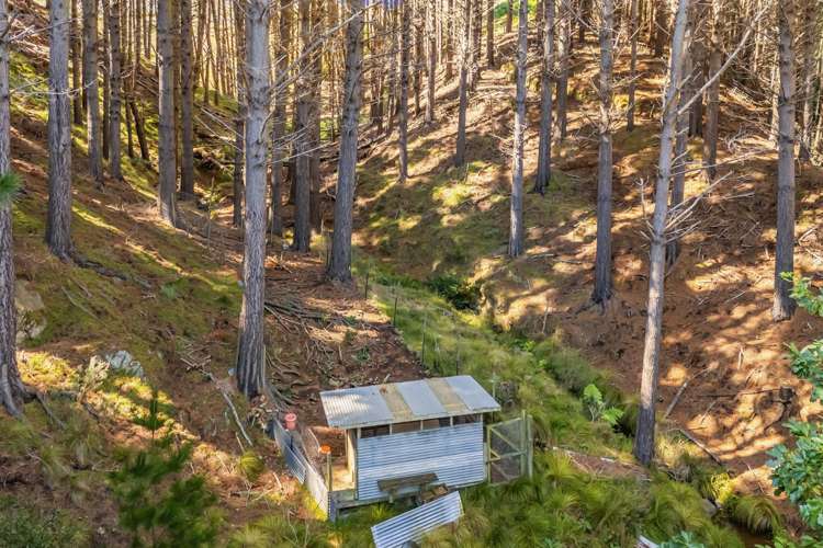 329 Takarau Gorge Road Ohariu_23