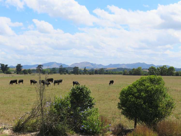 91 Awakino Point East Road Dargaville Surrounds_12