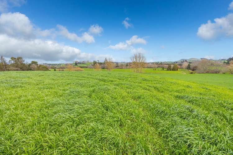 275 St Leger Rd Kihikihi_11