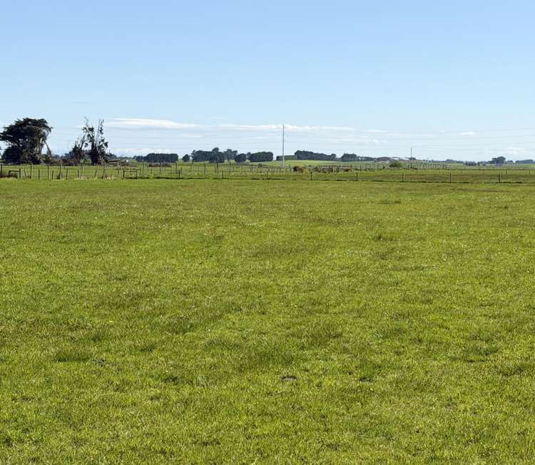 1169 Motu Rimu Road Motu Rimu_9