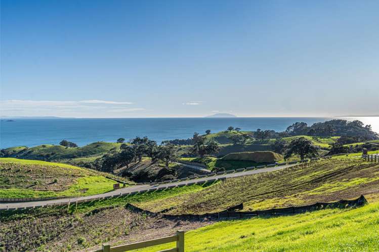 306 Sea View Road - Wawata Estate Waiheke Island_8