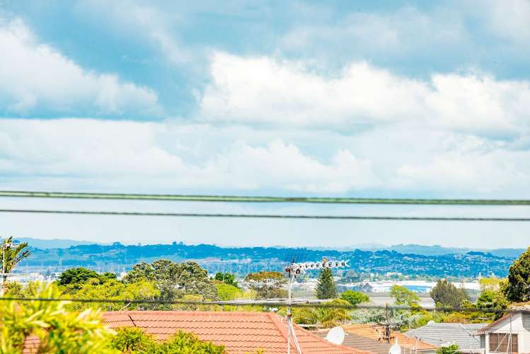 12 Turama Road Royal Oak_20