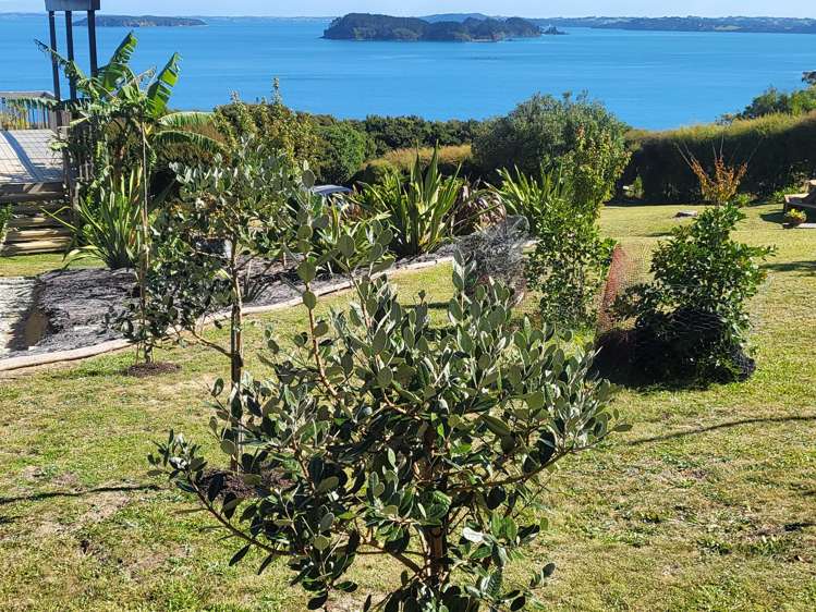 9 Elizabeth Point Road Kawau Island_13