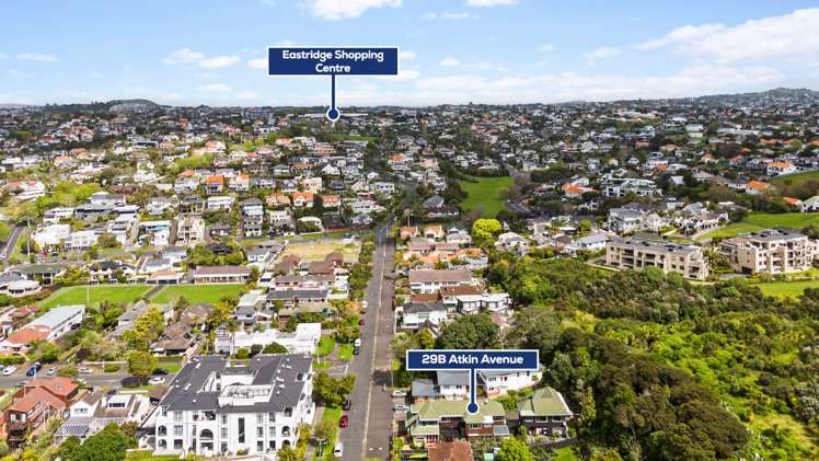 29B Atkin Avenue Mission Bay_19