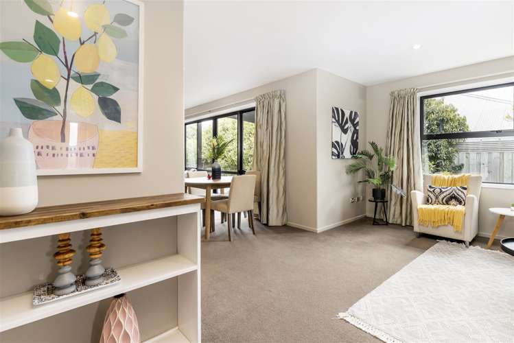 10 Mcallister Place Renwick_29