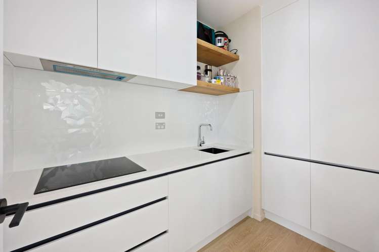 102 Thomas Road Flat Bush_7