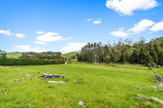 597A Ngunguru Road Glenbervie_3