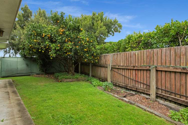 50b Andrew Place Mount Maunganui_6