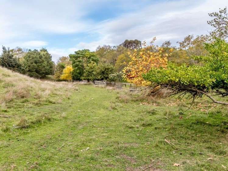 134 Kopanga Road Havelock North_50