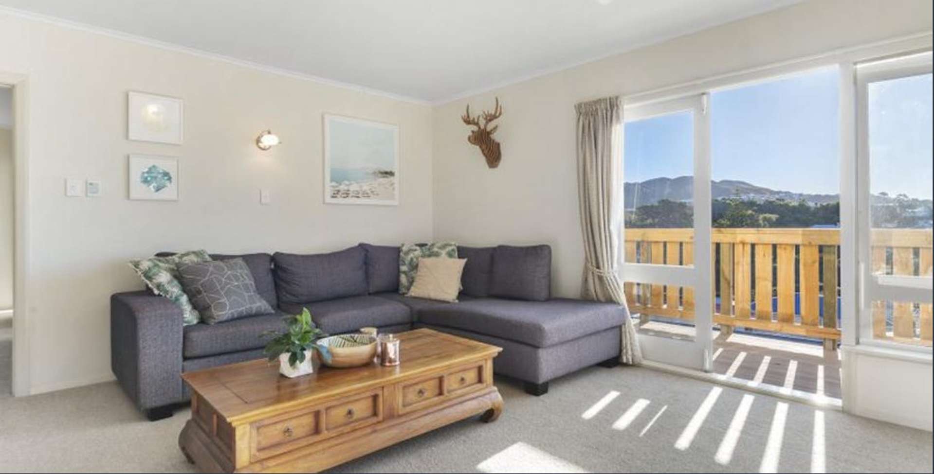 99b Fraser Avenue Johnsonville_0