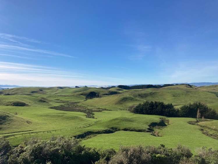 Tararua Road Pahiatua_6