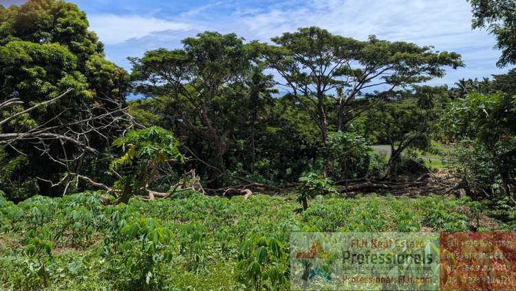 Address withheld Taveuni_15