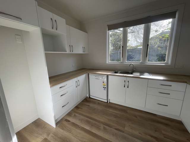 141B/2 Ruahine Street Terrace End_1