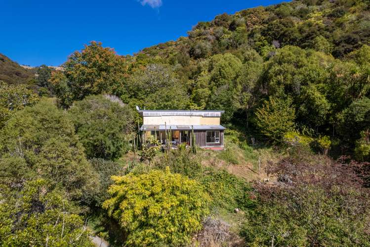 117 Little Todd Valley Road Todds Valley_5