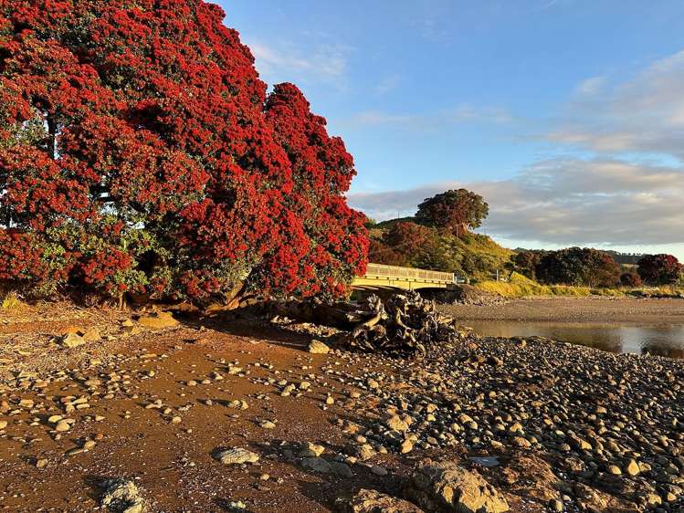 4 Jean Road Te Mata_18