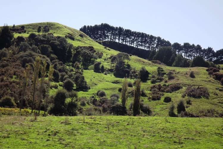 238 Waimaori Road Raglan_5