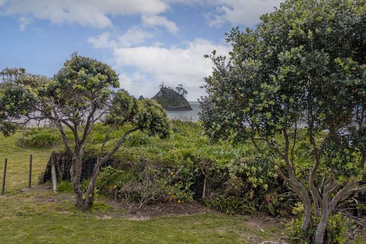 208 Mangakahia Drive Whangapoua_24