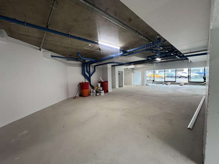 34 Kent Terrace Mt Victoria_4