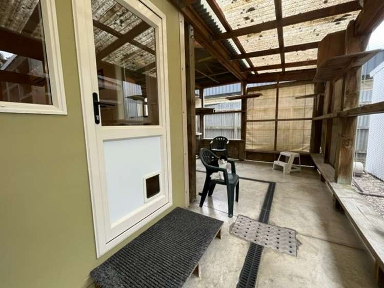 10 Constitution Avenue Milton_12