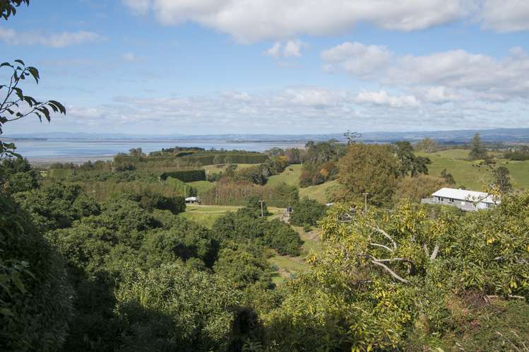 252a Kauri Point Road Hauraki Surrounds_19