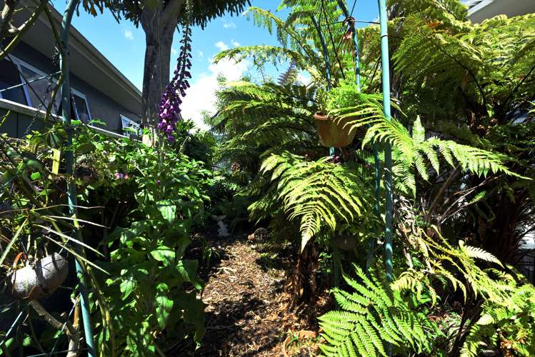 34 Fergusson Street Stoke_19