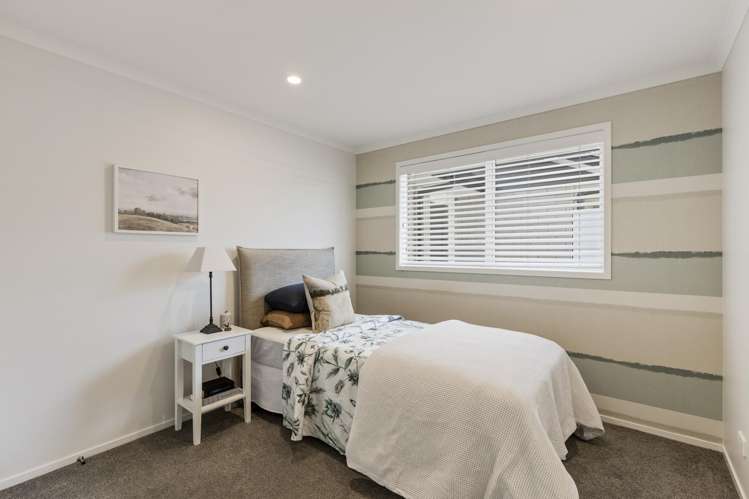 175A Carrington Street Lower Vogeltown_21