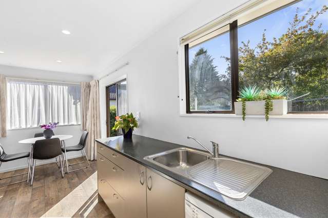 17 Topaz Street Birchville_3