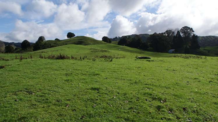 4501 State Highway 4 Waimiha-Ongarue_0