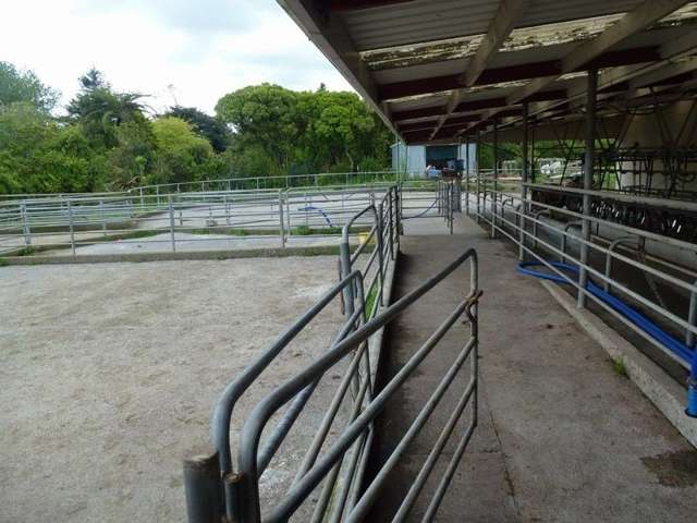 1265 Mountain Road Inglewood_4