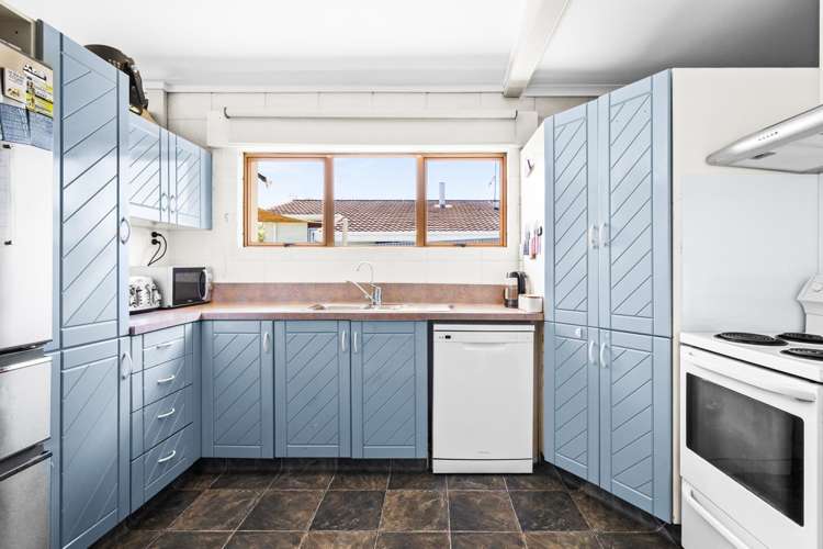 21 Shortland Street Tamatea_2