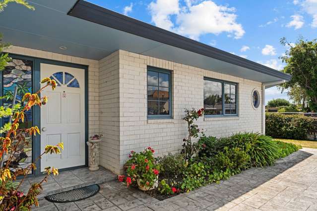 97A Titoki Street Lansdowne_1