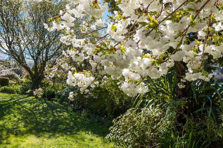 82 Point Bush Road Waimate_24