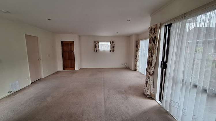 3 Macalister Place Miramar_8