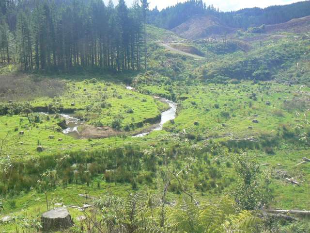 Lot 27 Iwitaua Road Mangamuka_1