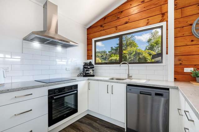 10 Gemstone Drive Birchville_1