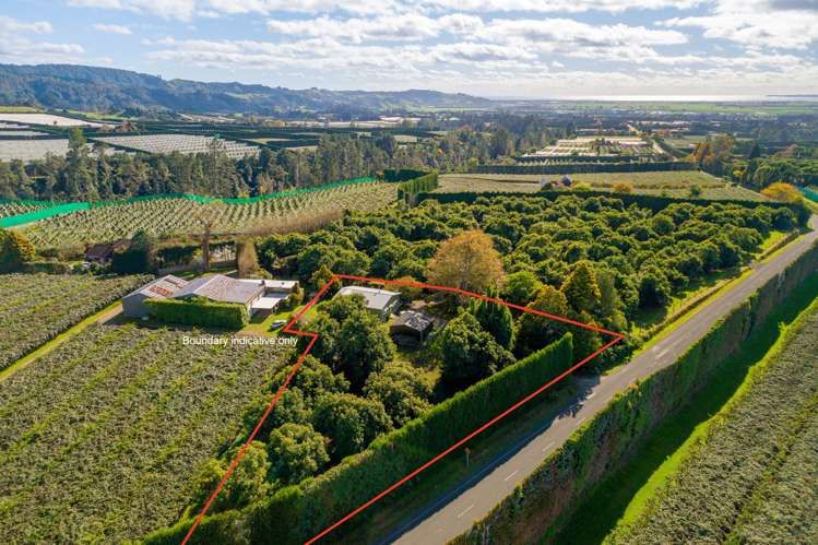 472 No 3 Road Te Puke_5