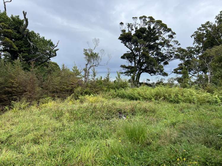 Lot . State Highway 6 Barrytown_6