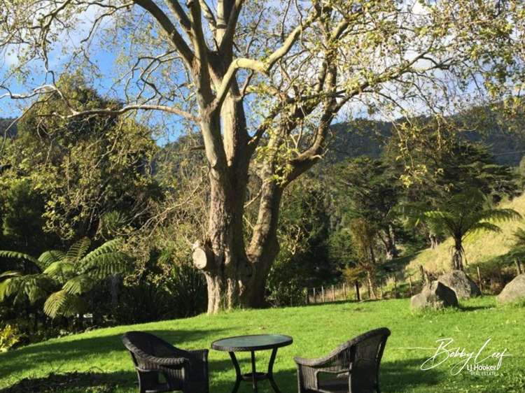 139 Warner Road Takahue_9