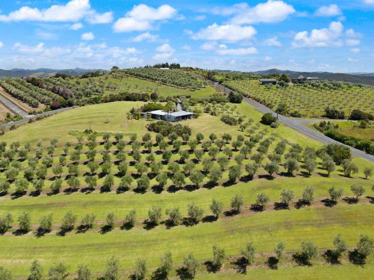 7 Leccino Valley Road Mangonui_25