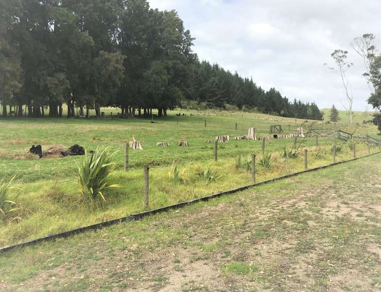 230b State Highway 10 Pakaraka_14