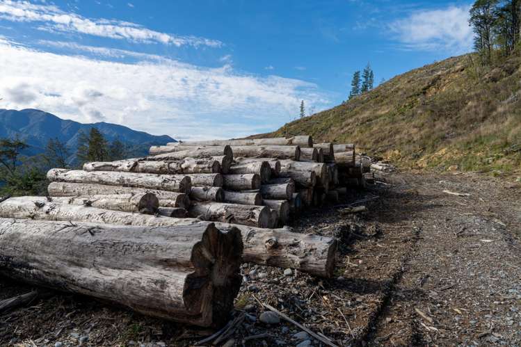 Four Rivers Highway Murchison_6