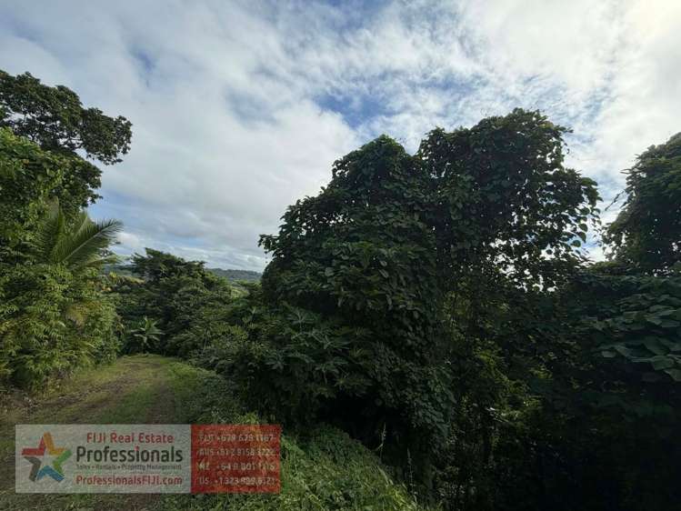 Address withheld Savusavu_7