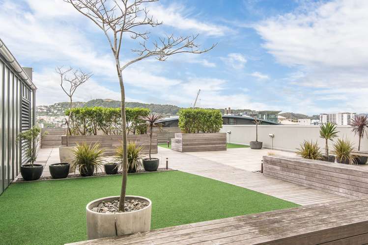 9a/9 Chews Lane Wellington Central_17